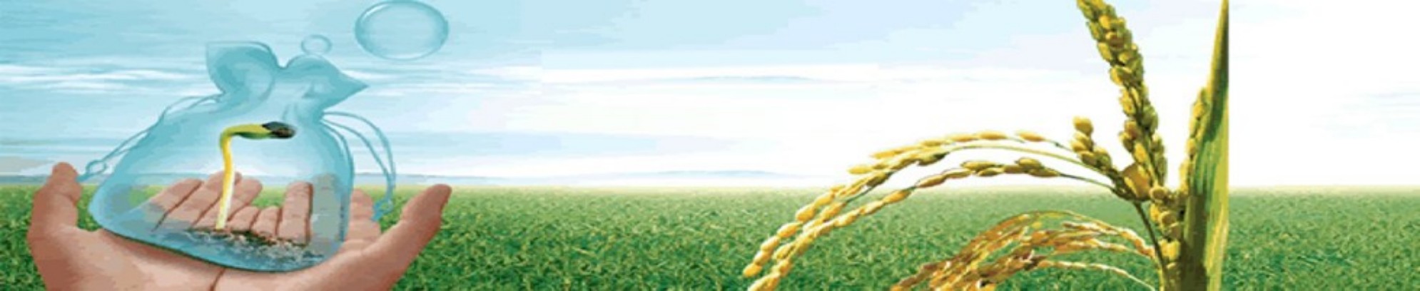 农民合作社，专业合作社软件，合作社财务软件，农民合作社财务软件，账务系统，农民合作社专业财务软件，示范社，省级示范社，市级示范社